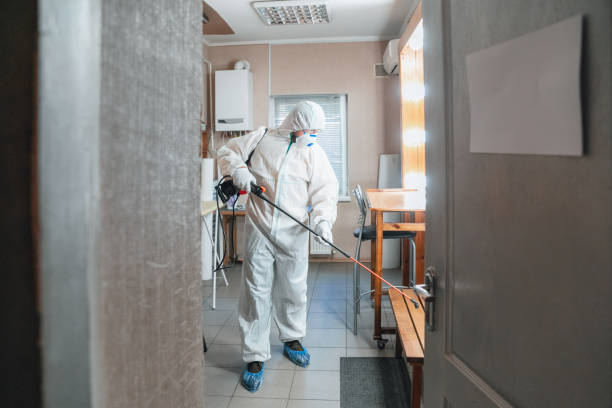  Syracuse, IN Mold Removal Pros